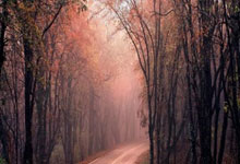 金钱的魔力？前巴萨后卫阿尔维斯性侵罪名被撤销，此前被判四年半.