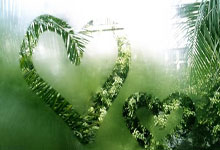 博天堂:少林寺最强打手下山了,虎背熊腰满脸横肉,点名要打百胜泰拳王.