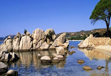 德国世预赛分组：对手斯洛伐克、北爱尔兰、卢森堡.